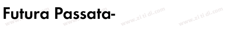 Futura Passata字体转换